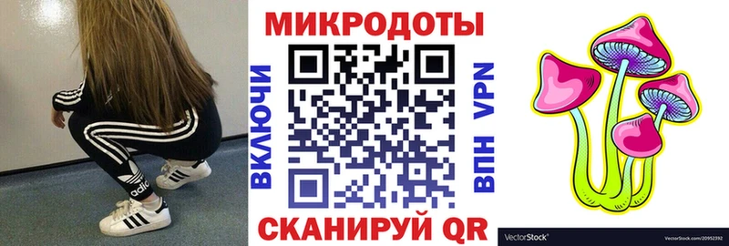 Псилоцибиновые грибы прущие грибы  Новороссийск 